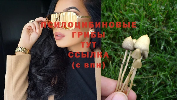 скорость Абаза