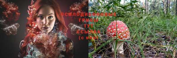 скорость Абаза