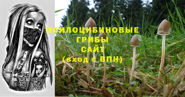 молекула духа Снежногорск