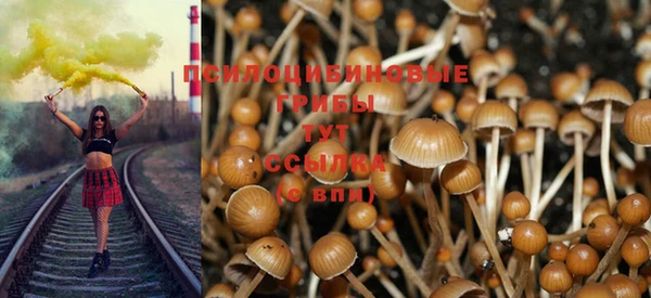 скорость Абаза