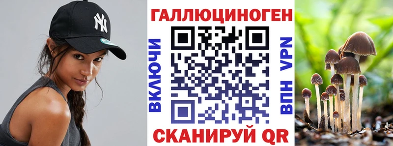 Галлюциногенные грибы Psilocybe  Заволжье 